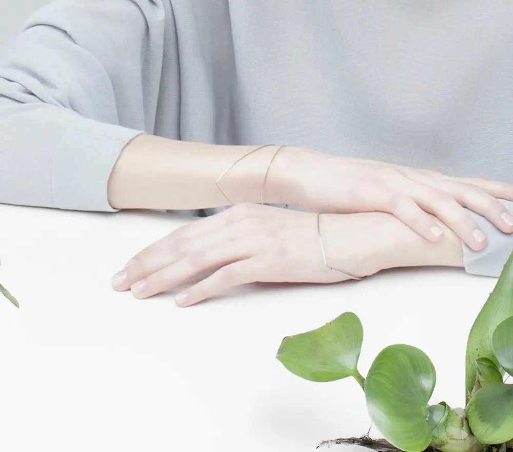 Fringilla risus pretium urna tortor metus